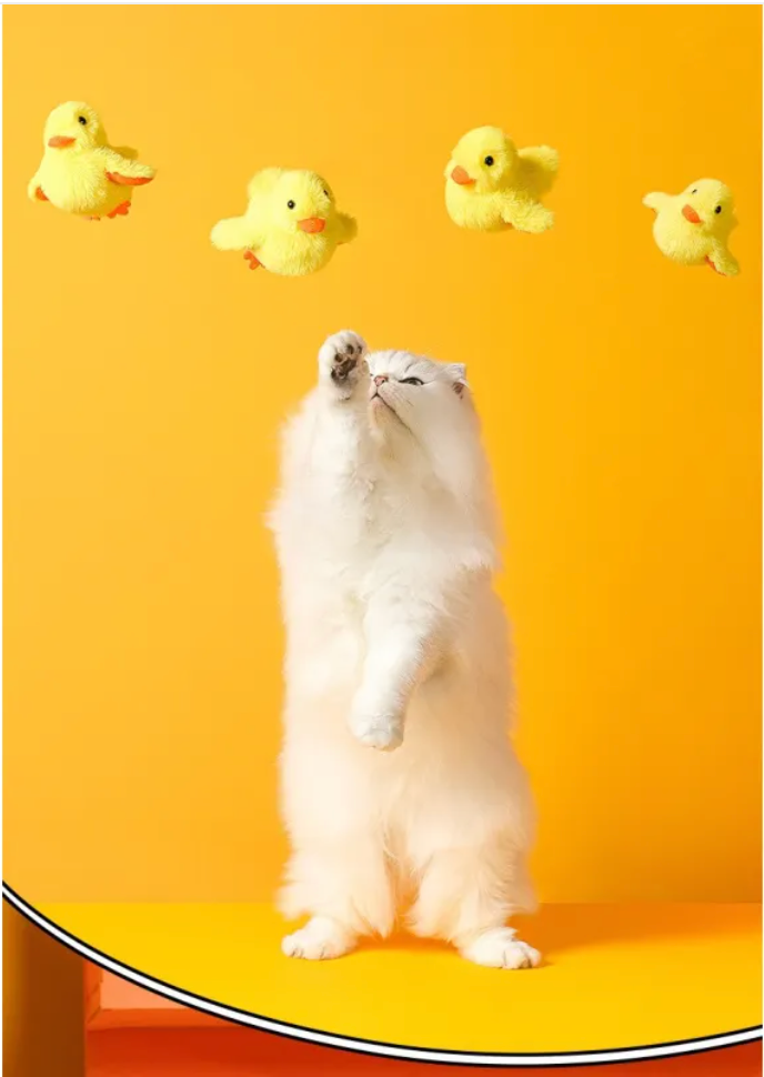 Automatic Electric Duck Cat Toy